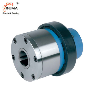 Beli ESG2 Overrunning GCr15 Indexing Freewheel Clutch online manufacture