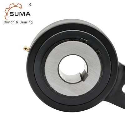 RSBW40 Bucket Elevator Backstop Bearing