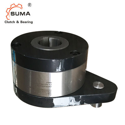 NF100 Overrunning Clutch Bearing